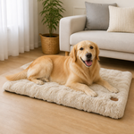 Dotisk Thick Polyurethane Foam & Removable Cover Dog Bed