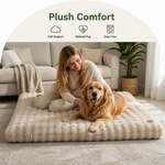 Dotisk Thick Polyurethane Foam & Removable Cover Dog Bed