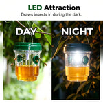 Solar-Powered Bee Catcher