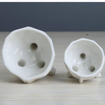 2-Piece White Ceramic Facial Succulent Planters