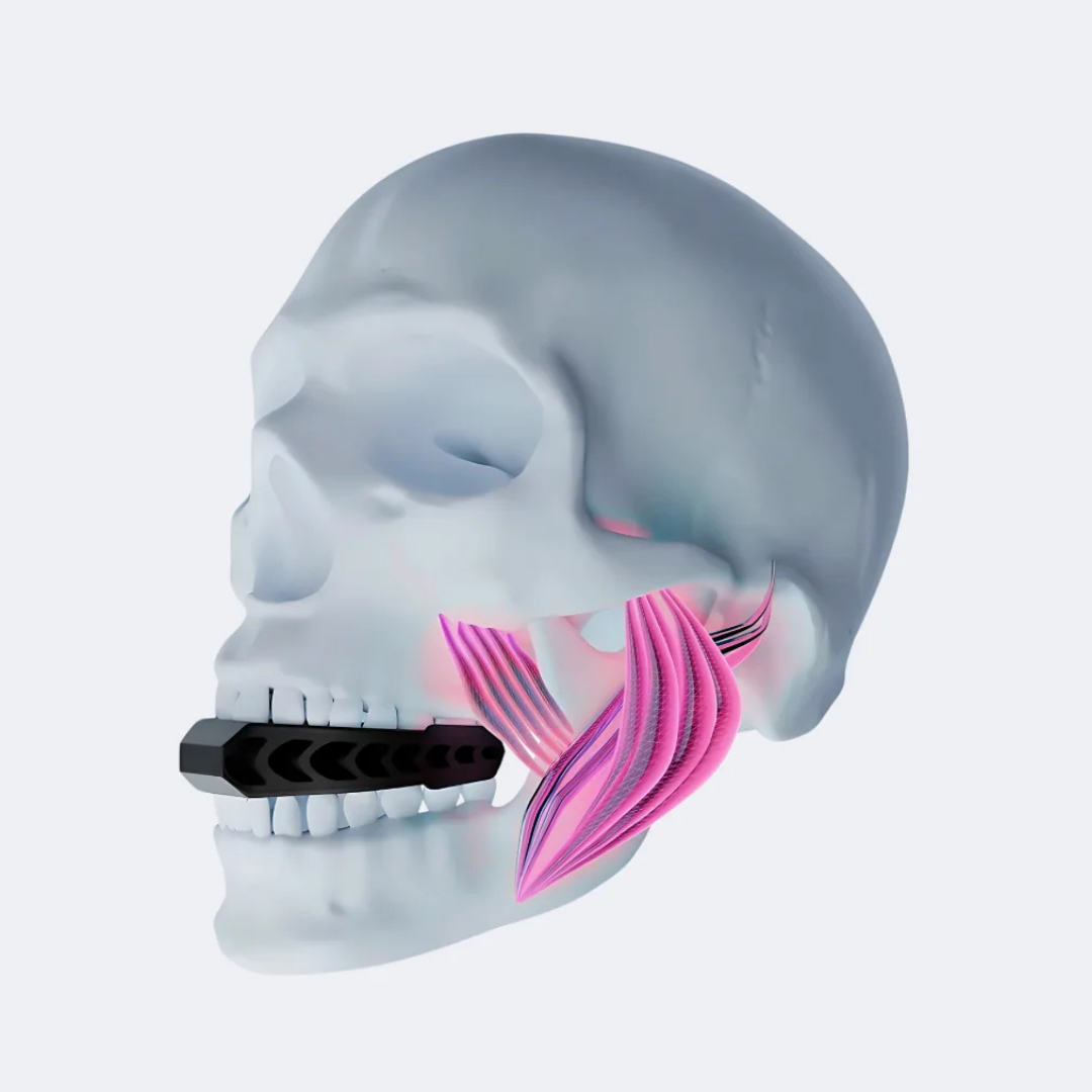 Jaw Toner Facial Trainer AIR 2.0