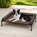 Dotisk Elevated Cooling Mesh Dog Bed (Removable Pillow-Top)