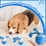Smart Interactive Pet Ball