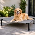 Dotisk Elevated Washable Breathable Mesh Dog Bed