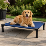 Dotisk Elevated Washable Breathable Mesh Dog Bed