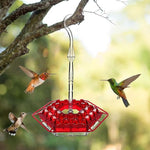 Avent Hummingbird Feeder - UV-Resistant, Ant-Proof Design