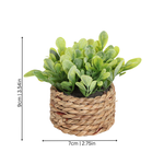 Green Plant Pot
