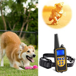 Waterproof Rechargeable Dog Training Collar with Remote Control