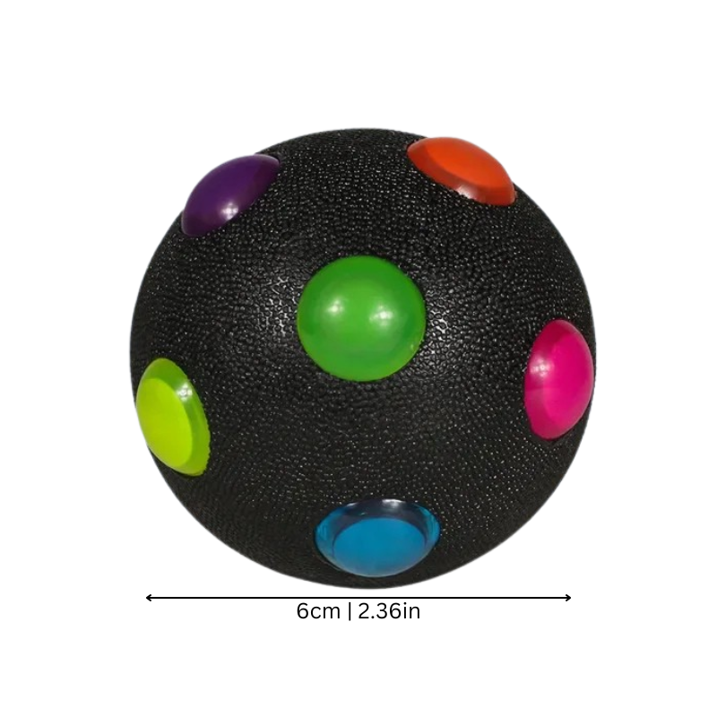 Fun Pet Fetch Toy