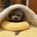Plush Dog Bed with Soothing Pattern for Pet Calm