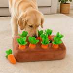 Dotisk Plush & Interactive Snuffle Mat