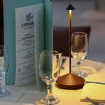 Rechargeable Cordless Table Lamp