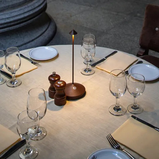 Rechargeable Cordless Table Lamp
