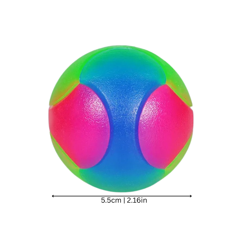 Fun Pet Fetch Toy