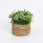 Green Plant Pot