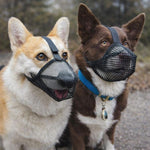 Ventilated Dog Muzzle