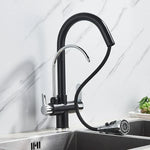 Kitchen Faucet with Filtered Water System