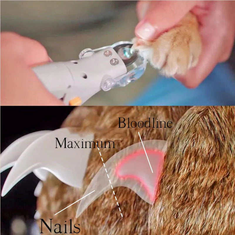 Precise Cut Nail Clipper with Easy Sensor