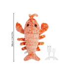 Delicious Fresh Lobster
