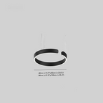 Circular LED Ceiling Fixture Aluminum Ring 20 in Adjustable Height for Kitchen Island Dining Area Foyer Modern Suspended Halo Light Energy-E
