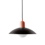 Iron Dome Pendant Light 12.6 in Adjustable Cable Warm LED Kitchen Island Dining Room Overhead Fixture Modern Two-Tone Hanging Lamp for Conte