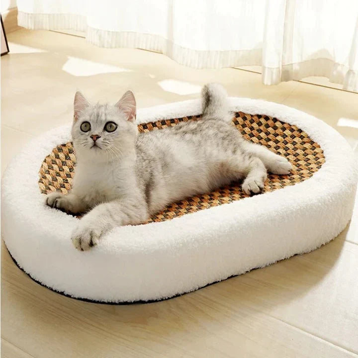 Cat Scratcher Bed with Plush Cushion and Scratch Surface for Indoor Cats, Cozy Lounge and Claw Pad Combo for Furniture Protection