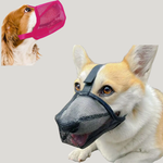 Furry Pet Socks - Dotisk