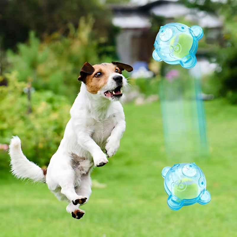 Fun Pet Orb - Dotisk