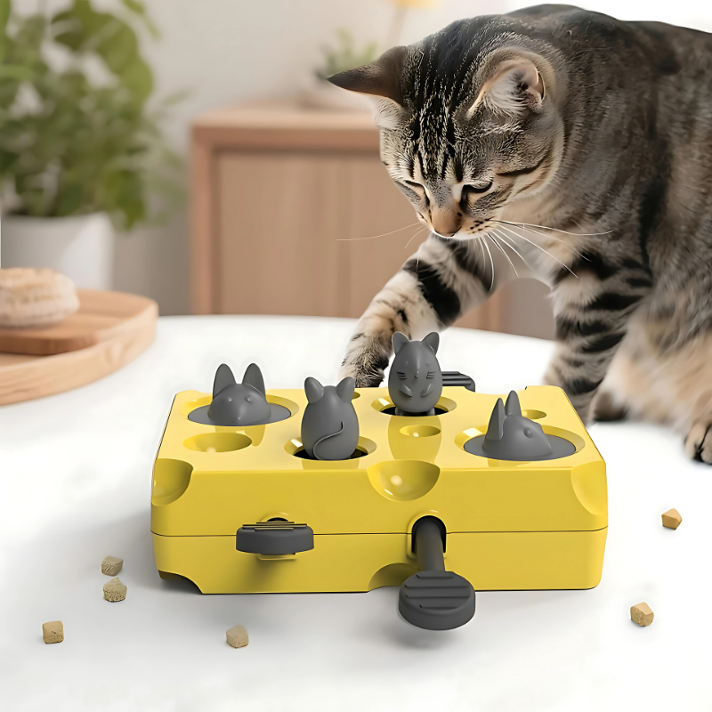 Fun Cat Toy - Dotisk