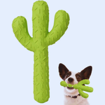 Fun Pet Accessories - Dotisk