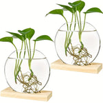 EdenOrb™ – Propagation Vase with Wooden Stand (Buy 1 Get 1 Free)