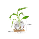 EdenOrb™ – Propagation Vase with Wooden Stand (Buy 1 Get 1 Free)