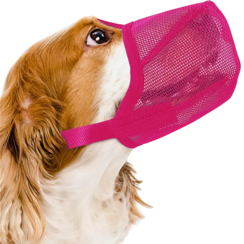 Ventilated Dog Muzzle