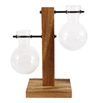 Transparent Bulb Planter with Natural Wood Base for Hydroponics & Fresh Cuttings | Tabletop Desktop Display Stand | Minimalist Home Office D