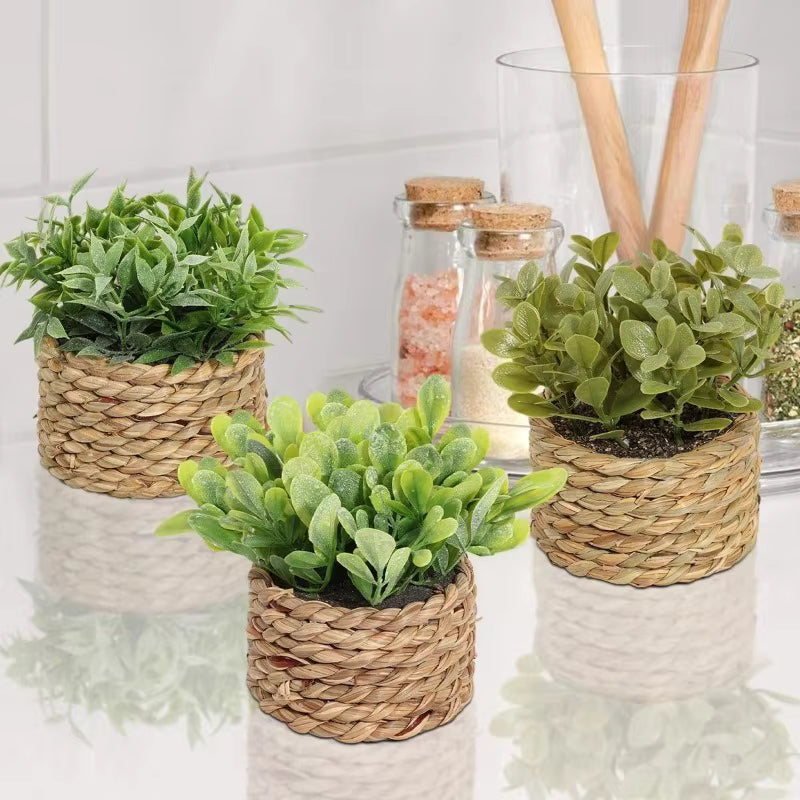 Green Plant Pot