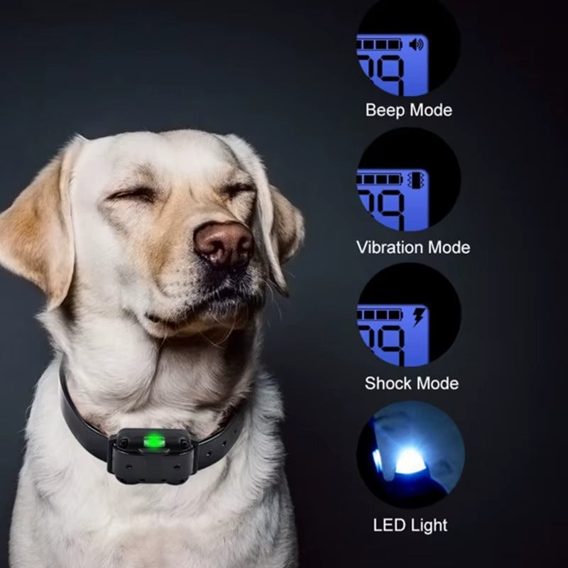 Waterproof Rechargeable Dog Training Collar with Remote Control