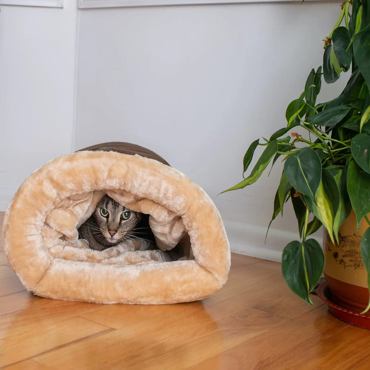 Cozy Pet House