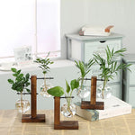 Transparent Bulb Planter with Natural Wood Base for Hydroponics & Fresh Cuttings | Tabletop Desktop Display Stand | Minimalist Home Office D