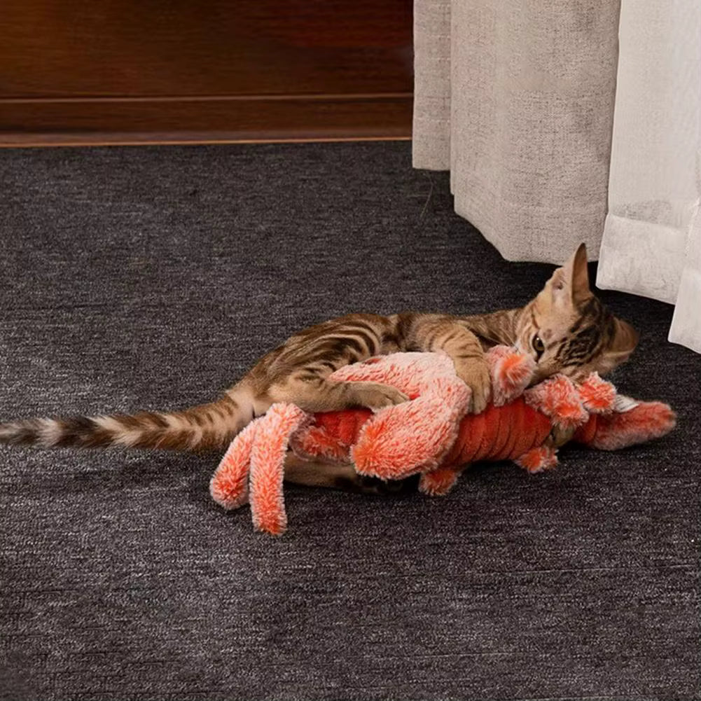 Delicious Fresh Lobster