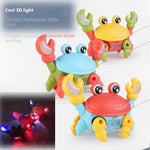 Fun Crab Toy