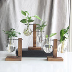 Transparent Bulb Planter with Natural Wood Base for Hydroponics & Fresh Cuttings | Tabletop Desktop Display Stand | Minimalist Home Office D