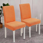 Sierra Dining Chair Cover - High Elasticity Jacquard Velvet, Machine Washable