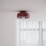 Sculptural Flush Mount Light 12 Inch Geometric Polymer Fixture E26 E27 for Bedroom Living Room Kitchen in Red Green Black