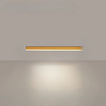 LED Flush Mount Fixture 24 Inch Aluminum Contemporary Overhead Light for Kitchen Dining Room Hallway Office Bedroom Energy-Saving Integrated