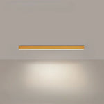 LED Flush Mount Fixture 24 Inch Aluminum Contemporary Overhead Light for Kitchen Dining Room Hallway Office Bedroom Energy-Saving Integrated