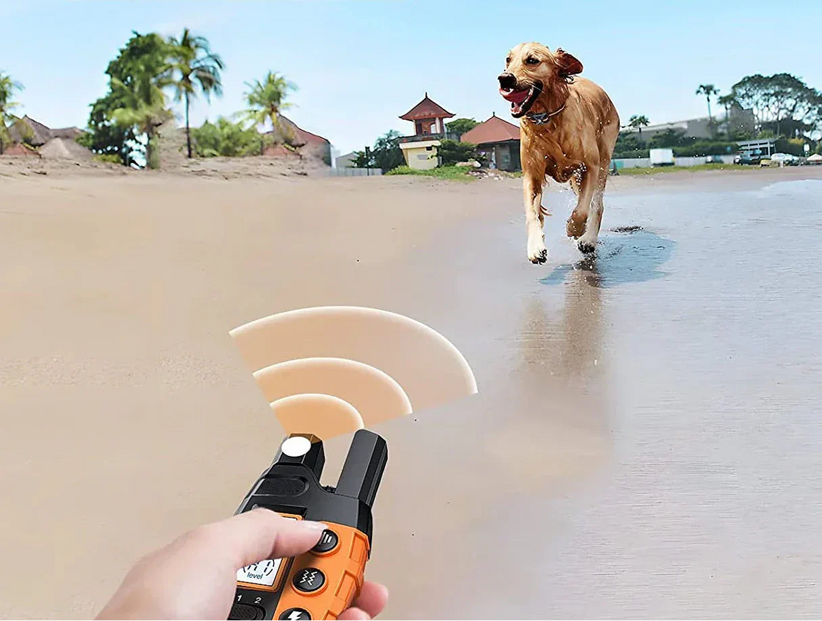 Ultimate Dog Training Collar | 1000m Remote E-Collar with Waterproof Design | Adjustable Settings for Effective Behavior Modification