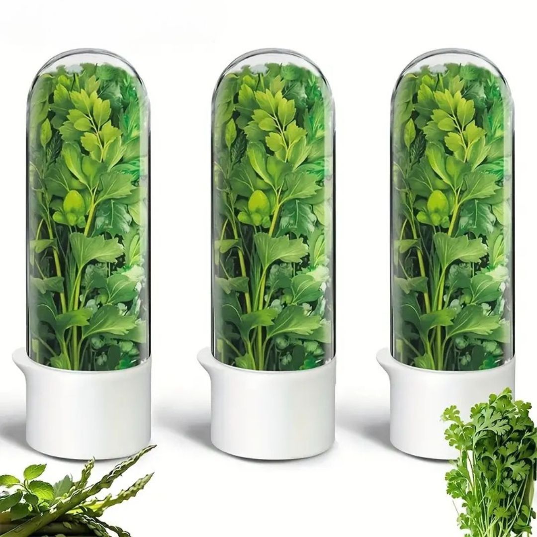 Herb Fresh-Keeping Box