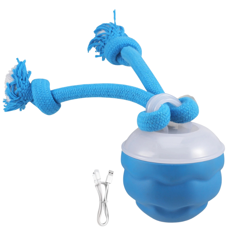 Smart Interactive Pet Ball