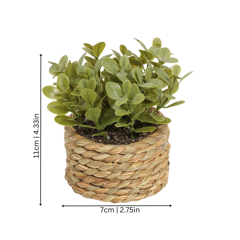 Green Plant Pot