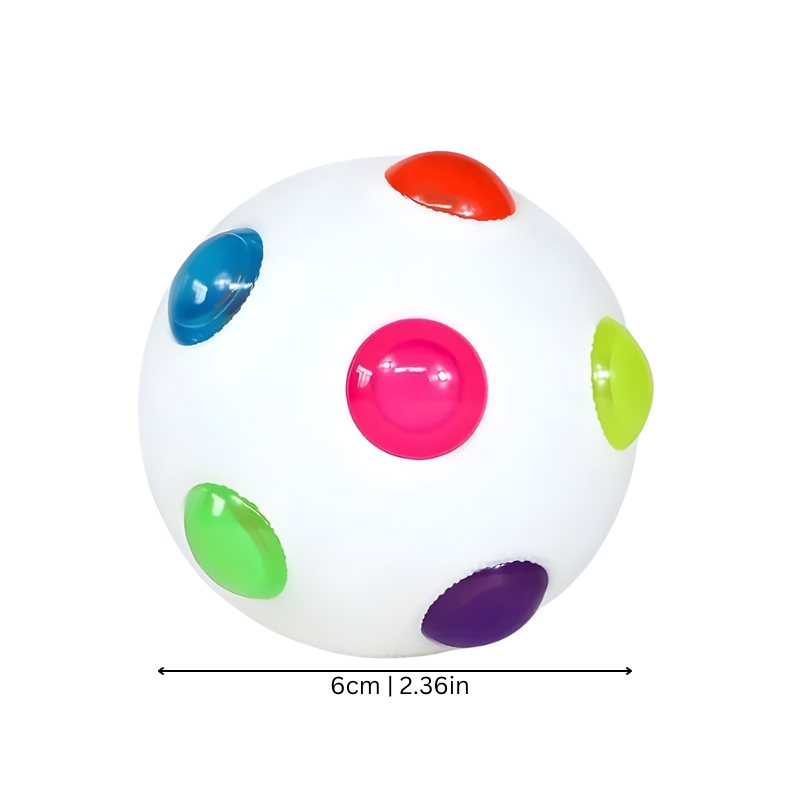 Fun Pet Fetch Toy